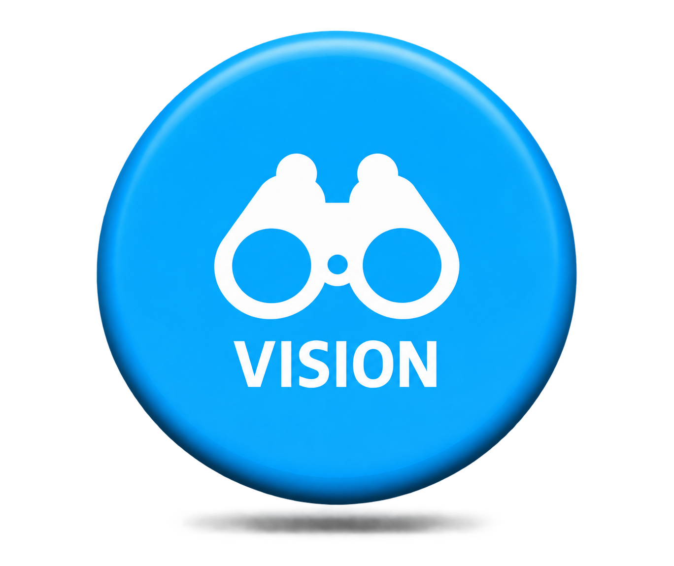 Vision
